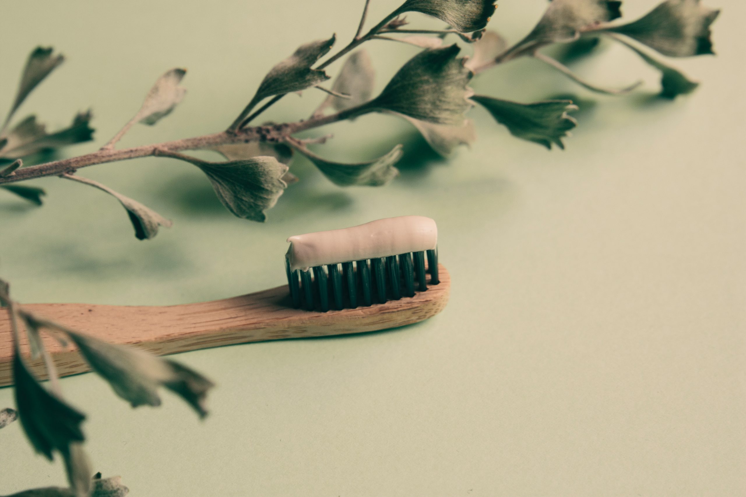 wood green tooth brush